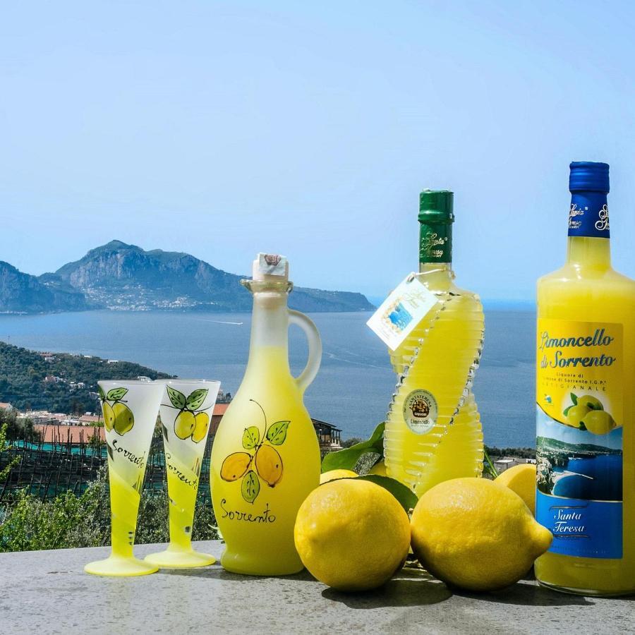 B&B Mamma Sorrento Holidays エクステリア 写真